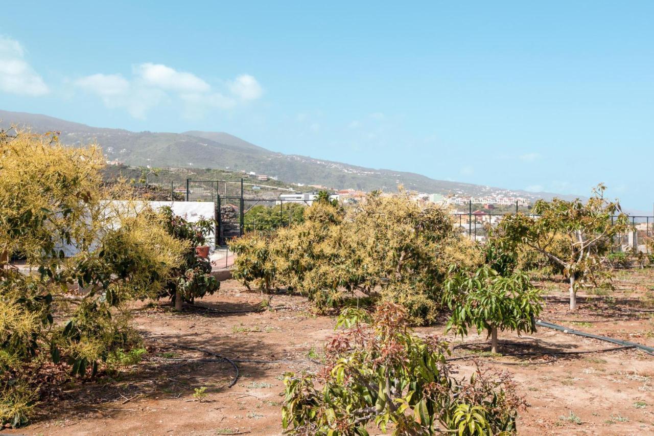 فيلا Casa Quemahierro 2 إيكود ذي لوس فينوس المظهر الخارجي الصورة